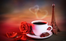 Cup Rose Red, wallpapers