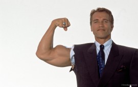 Celebrity arnold schwarze…, wallpapers