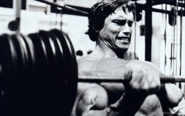 arnold schwarzenegger, wallpapers