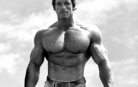 arnold schwarzenegger, wallpapers