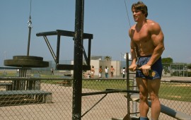 arnold schwarzenegger, wallpapers