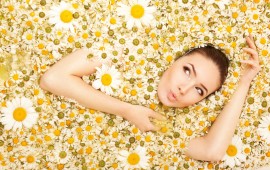 Girl many Daisies, wallpapers